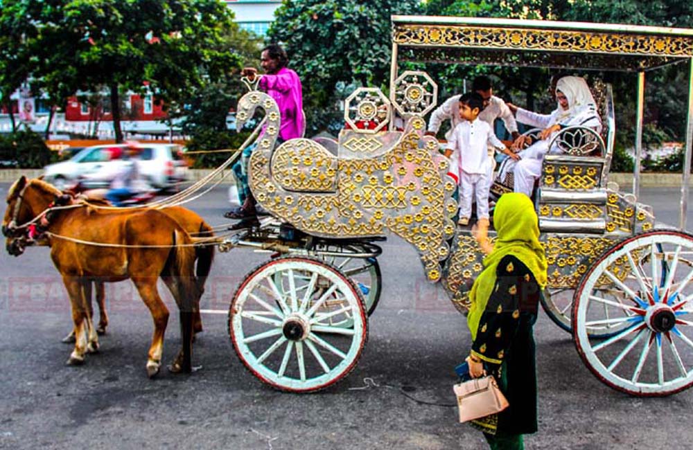 হারিয়ে যাচ্ছে টমটম